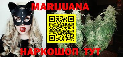 Альфа ПВП Краснознаменск