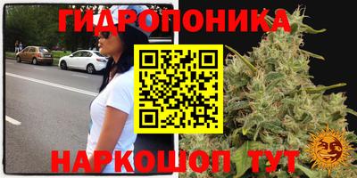 Альфа ПВП Краснодар