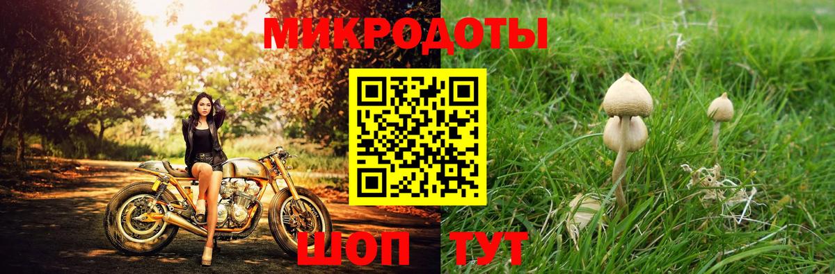 Галлюциногенные грибы Magic Shrooms Калуга