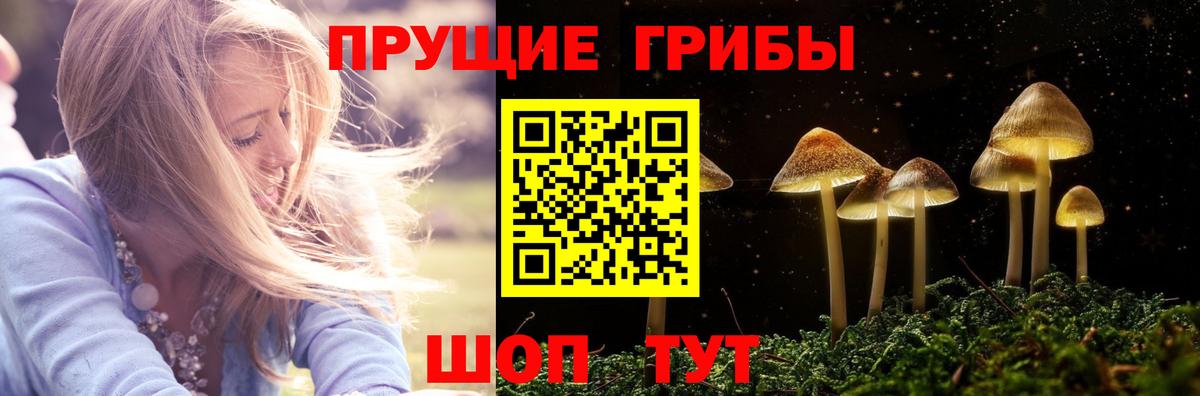 Галлюциногенные грибы Psilocybine cubensis  Галлюциногенные грибы Cubensis  Вход с VPN  Калуга 
